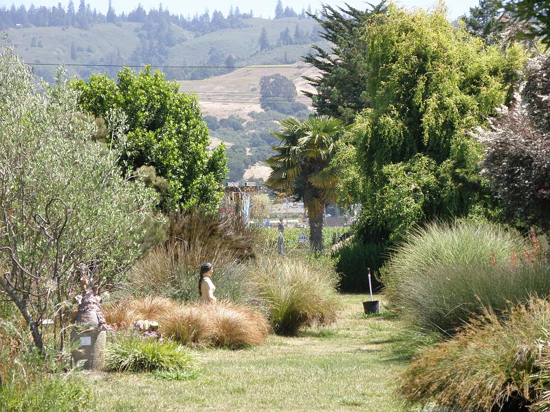 P6282149 Sierra Azul.jpg